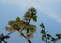 291.webp