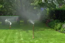 Wasser.webp