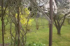 April2 2011 040.webp