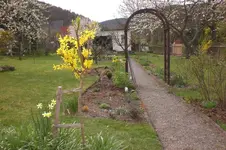 April2 2011 041.webp