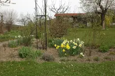 April2 2011 046.webp