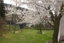 April2 2011 047.webp