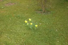 April2 2011 048.webp