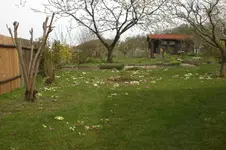 April2 2011 049.webp