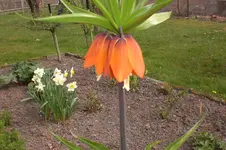 April2 2011 053.webp