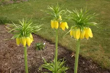 April2 2011 054.webp