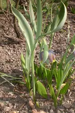 April2 2011 055.webp