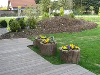 IMG_8657.webp