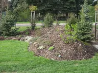 IMG_8664.webp