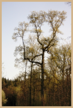 10.04 (21).webp