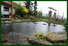 Teich (2).webp