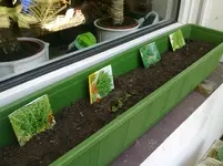 11042011930.webp