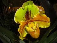 CIMG5266.webp