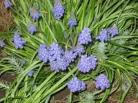 IMG_5349.webp