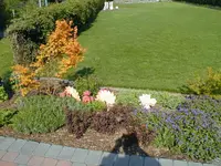P1010147.webp
