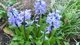 K800_12.4.2011 002.webp