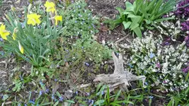 K800_12.4.2011 003.webp