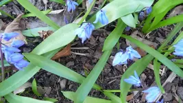 K800_12.4.2011 004.webp