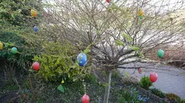 K800_12.4.2011 006.webp