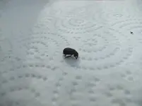 DSCF2643.webp