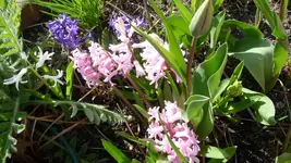 K800_12.4.2011 007.webp