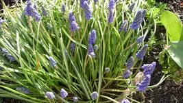K800_12.4.2011 008.webp