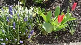 K800_12.4.2011 009.webp