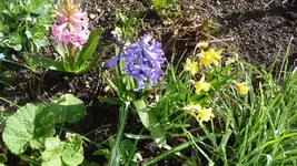 K800_12.4.2011 010.webp