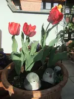 DSCF2650.webp
