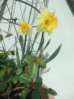 DSCF2651.webp