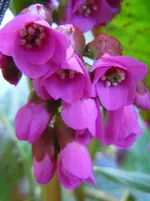 015.webp