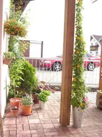 DSC05323.webp