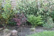 IMG_1622.webp