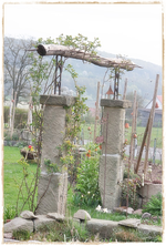 Rosenbogen.webp