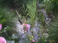 PIC00206.webp