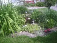 PIC00950.webp