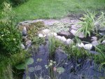 PIC00142.JPG