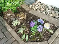 DSCF5264.webp