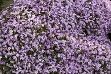 IMG_1709.webp