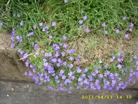 JD500329.webp