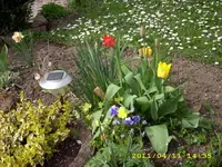 JD500334.webp