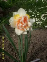 JD500342.webp