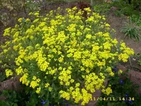 JD500332.webp