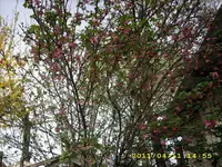 JD500355.webp