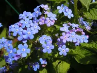 092.webp
