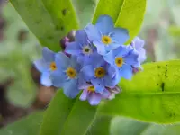 091.webp