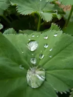 Wassertropfen012.webp
