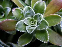 Wassertropfen020.webp