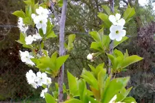130420112341.webp