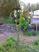13042011233.webp